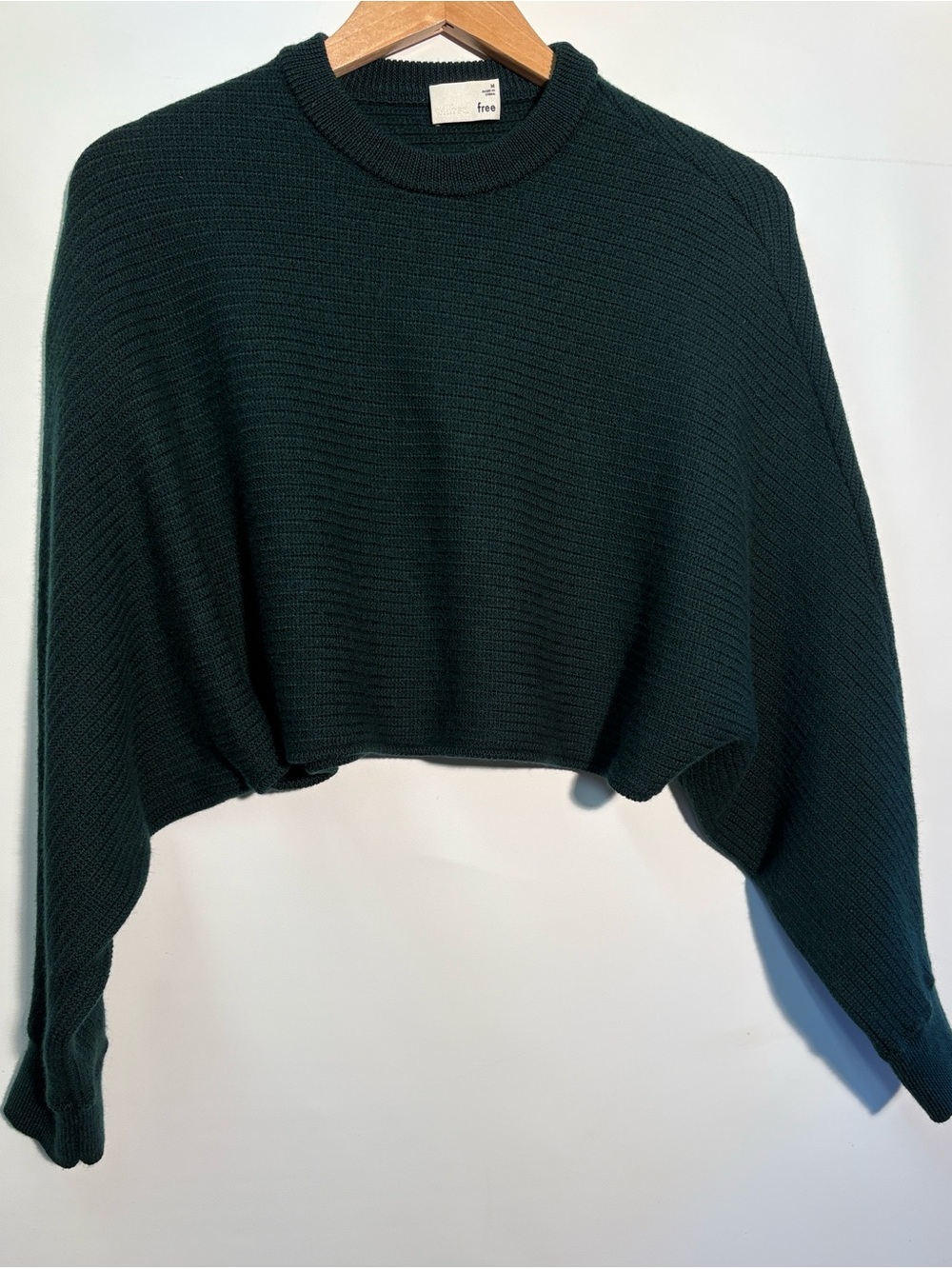 Wilfred by Aritzia Dark Green Cropped Crewneck Sweater